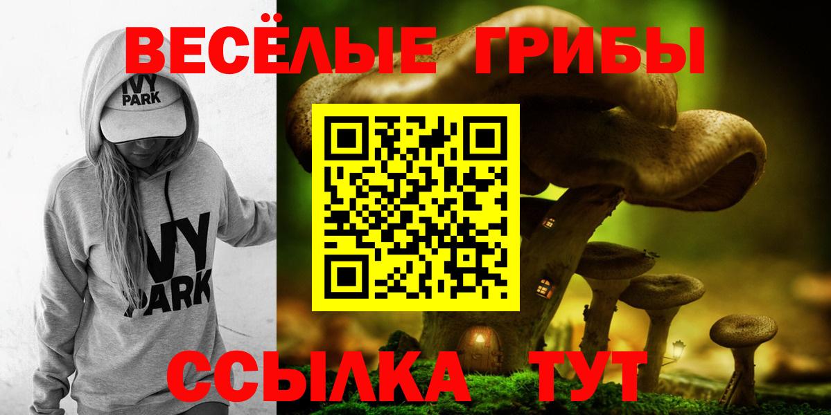 Мичуринск  Псилоцибиновые грибы мицелий  Вход с VPN 